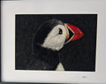 Puffin Head