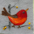 Fun Birdie