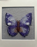 Needle Felted Butterfly