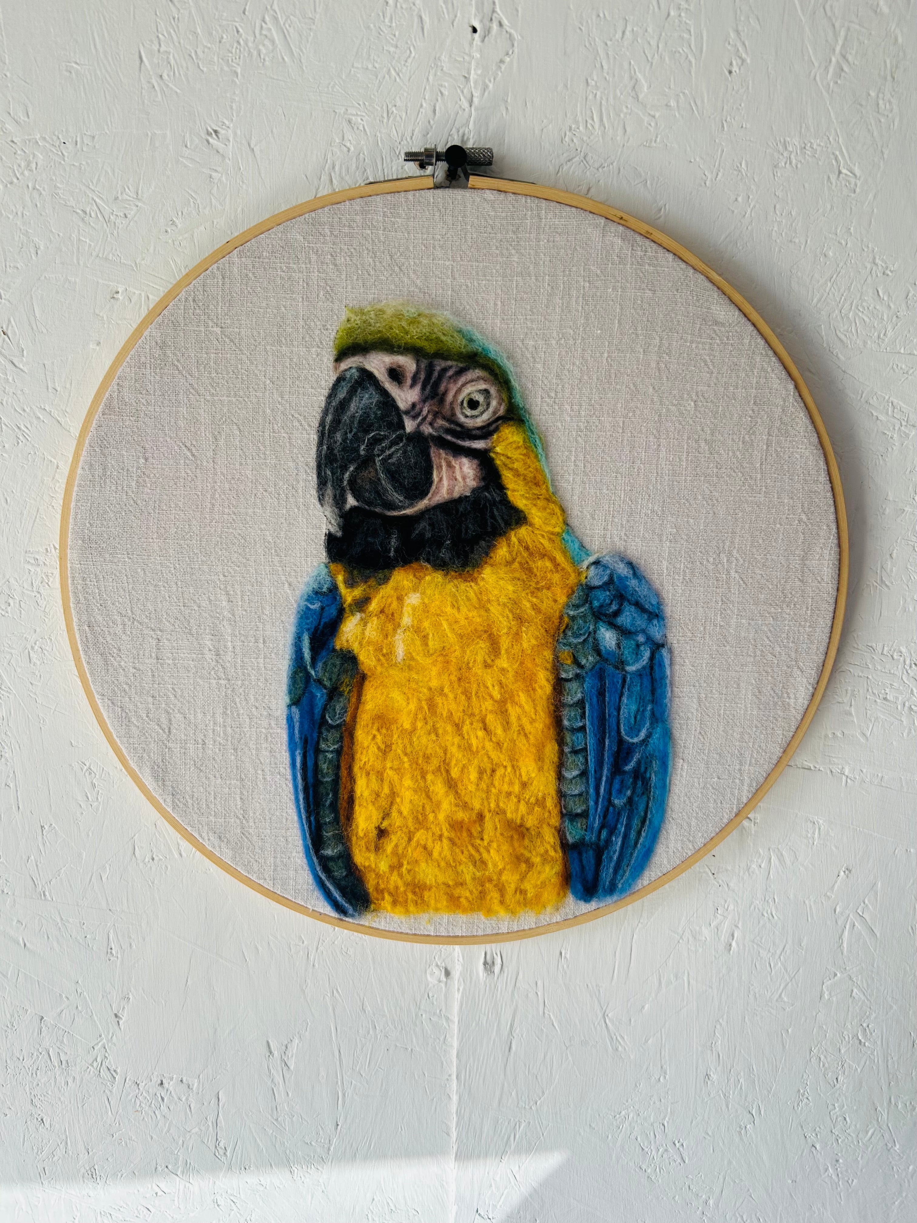 Yellow and Blue needle felted Macaw