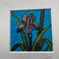 Flower Iris