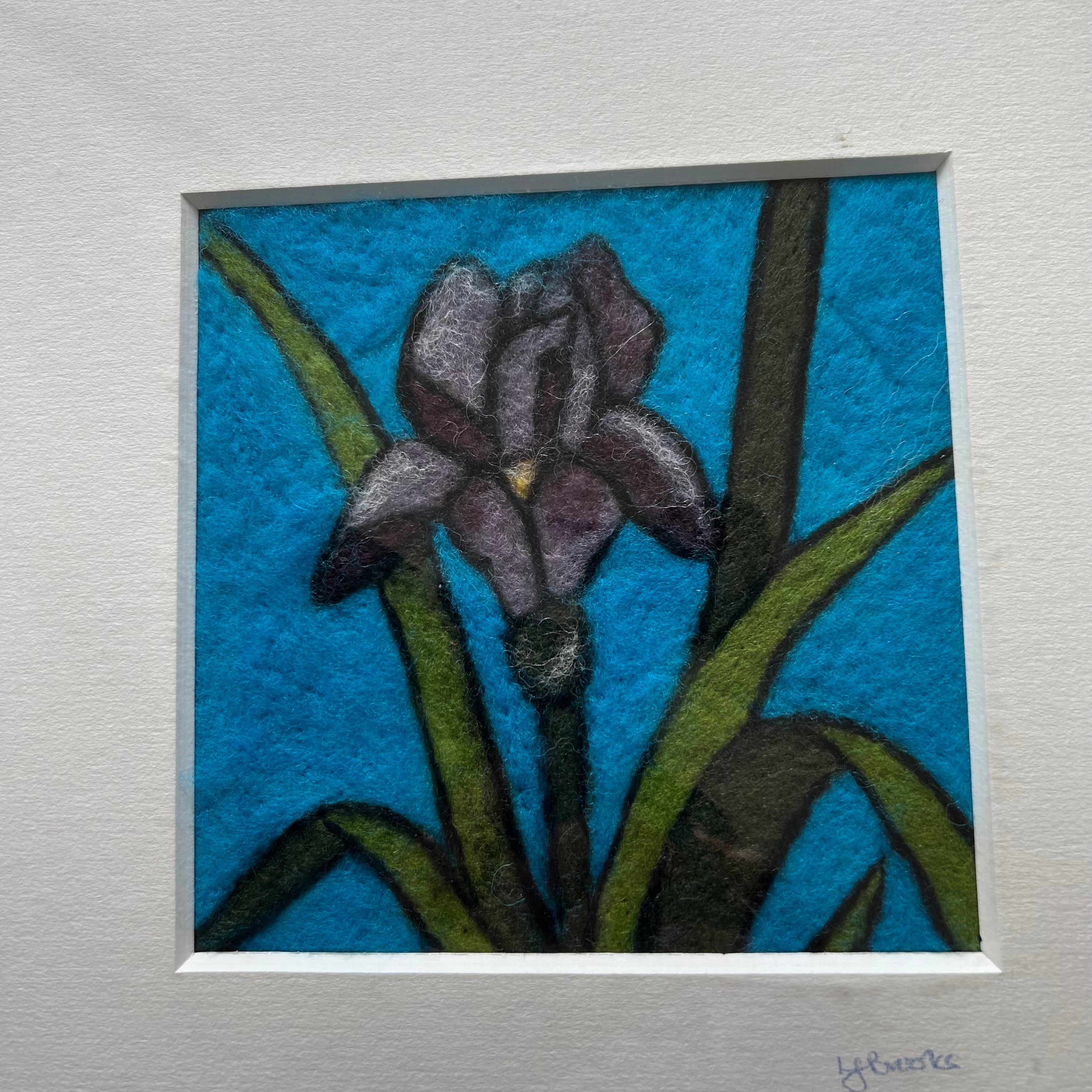 Flower Iris