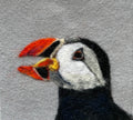 Needle Felted Puffin Head