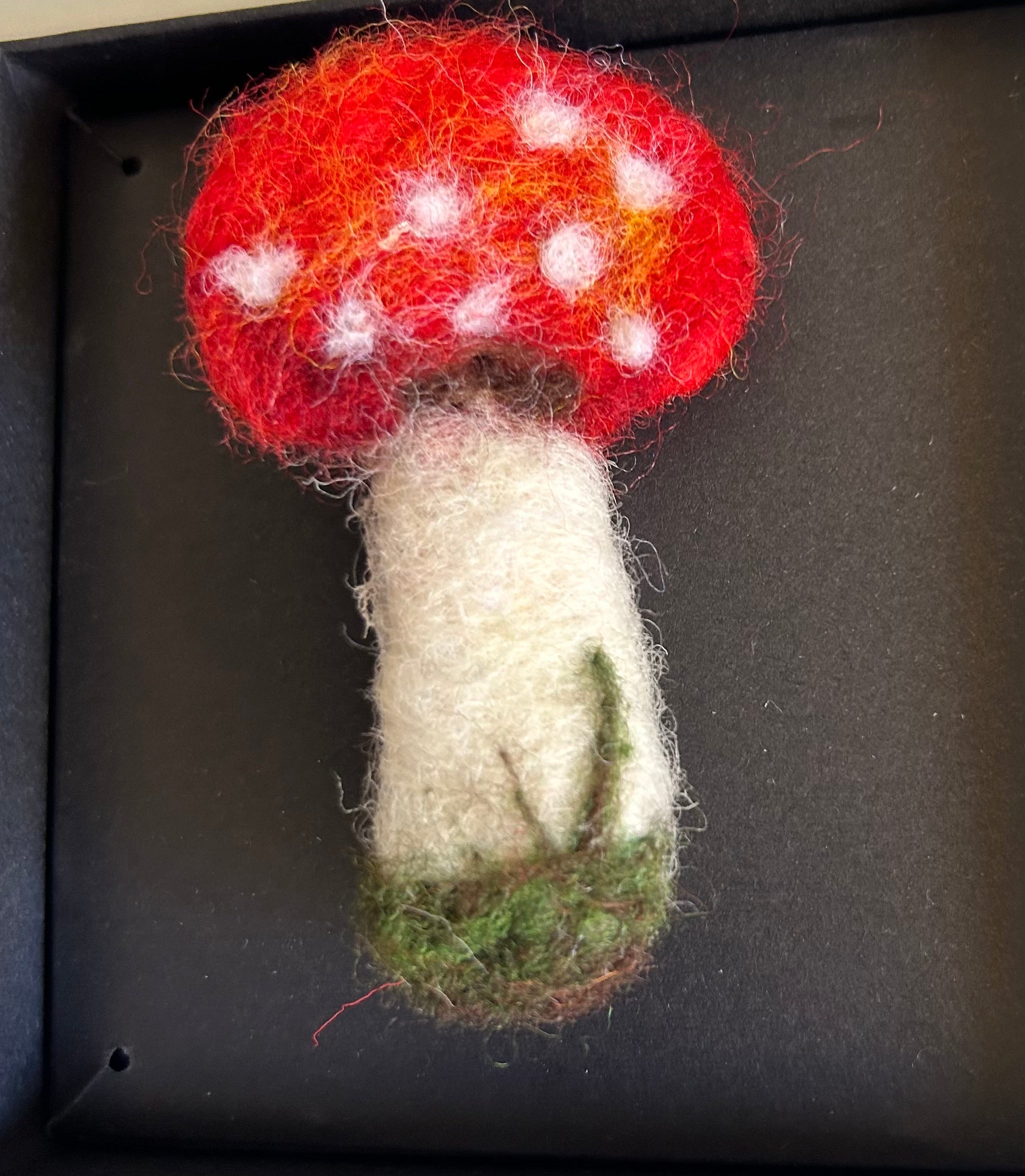 Fungi Brooch