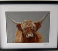 Highland COO